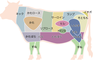 牛肉の部位（正肉）