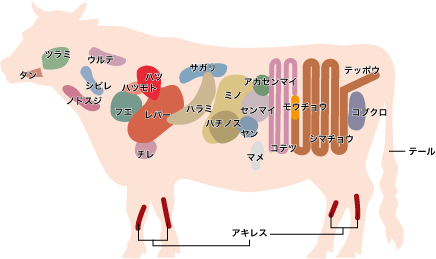 牛肉の部位（内臓）